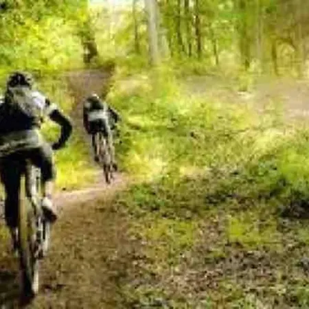 Vila Maison En Pleine Nature Vue Exceptionnelle Avec Sauna Et Bain Nordique