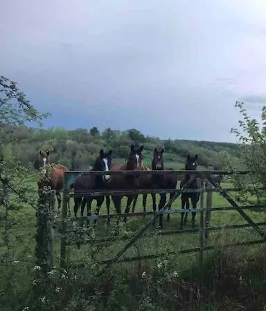 Maison En Pleine Nature Vue Exceptionnelle Avec Sauna Et Bain Nordique Villa *