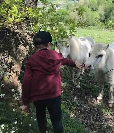 Maison En Pleine Nature Vue Exceptionnelle Avec Sauna Et Bain Nordique *