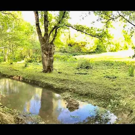 Maison En Pleine Nature Vue Exceptionnelle Avec Sauna Et Bain Nordique Vila Le Mesnil-Simon (Calvados)