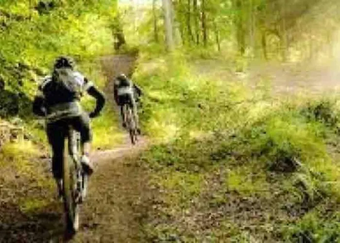 Villa Maison En Pleine Nature Vue Exceptionnelle Avec Sauna Et Bain Nordique