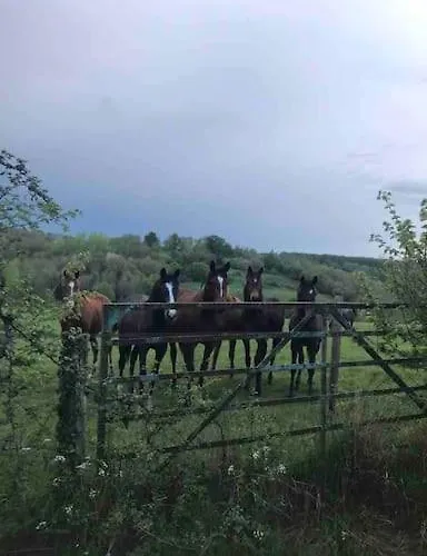 Maison En Pleine Nature Vue Exceptionnelle Avec Sauna Et Bain Nordique Villa *