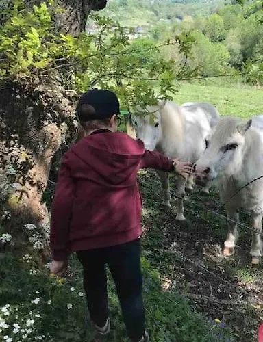 Maison En Pleine Nature Vue Exceptionnelle Avec Sauna Et Bain Nordique *